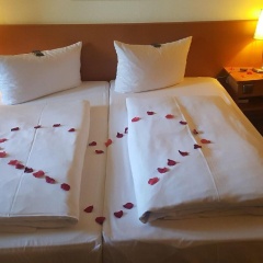 Hotel Goldener Adler - Bild 7