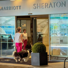 Frankfurt Airport Marriott Hotel - Bild 30