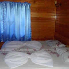 Windmolen Apart Bungalows - Bild 2