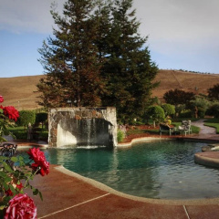 The Purple Orchid Wine Country Resort & Spa thumbnail 10