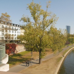Hotel Schopenhauer Hof - Bild 4