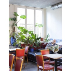 Basel Backpack - Hostel - Bild 21