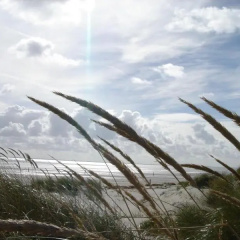 Suitenhotel Idyll Heckenrose - Bild 16