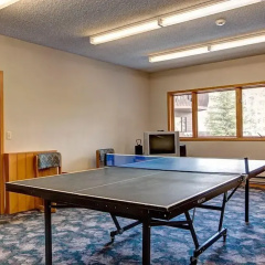 Woods Manor Condo thumbnail 49