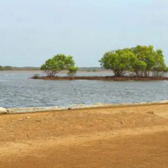 The Residence Nilaveli thumbnail 8