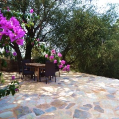 Villa Port Soller - Bild 15