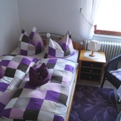 Pension Jagdhütte - Bild 4