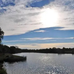 Guildford River Retreat thumbnail 35
