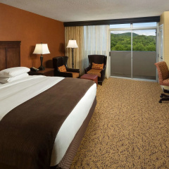 The Park Vista - a DoubleTree by Hilton Hotel - Gatlinburg thumbnail 6