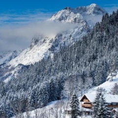 Hotel-Gasthof Nutzkaser - Bild 4
