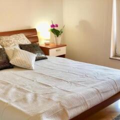 Apartments Corina in Zagreb, Croatia from 163$, photos, reviews - zenhotels.com photo 10