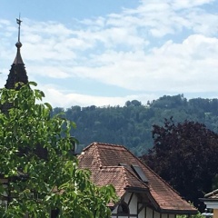 Habsburg B&B - Bild 8