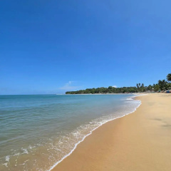 The Surf N Sun thumbnail 21