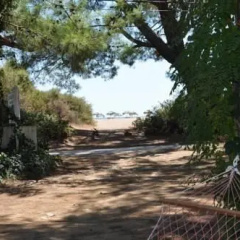 Emin Pension - Bild 9