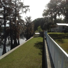 Suwannee Gables Motel and Marina thumbnail 7
