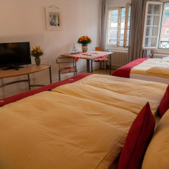 Goldener Falke - Bild 3