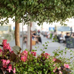 Westend Hotel - Bild 16