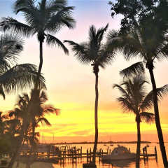 The Pelican Key Largo Cottages thumbnail 15