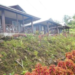Oceanfiks Mountain Bungalows in Siumu, Samoa from 63$, photos, reviews - zenhotels.com hotel front