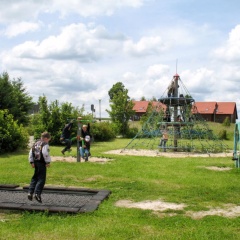 Auerhahn (Haf100) - Bild 12
