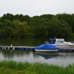 Zwei Raben Pension - Bild 13