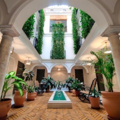 Hotel Gravina 51 - Bild 17