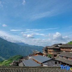 Terrace Villa thumbnail 14