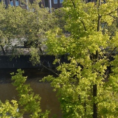 If boutique hotel - Bild 16