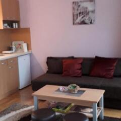 Apartmani V&F in Vrnjacka Banja, Serbia from 81$, photos, reviews - zenhotels.com photo 45