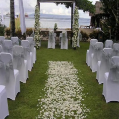 Oasis Beach Resort & Spa - Bild 9