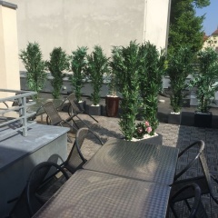 Amaroo - Apartments Potsdam “Holländisches Viertel” - Bild 15