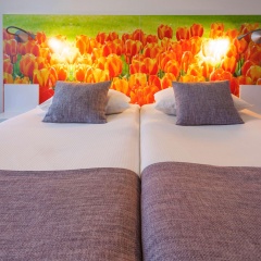 ibis Styles Amsterdam City - Bild 8