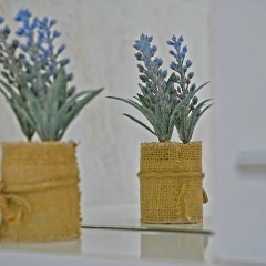 Guest House Matana Pomena thumbnail 40