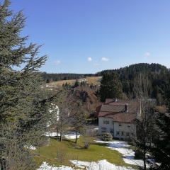 Haus zur Tanne - Bild 15