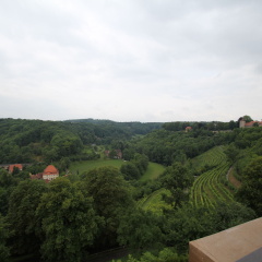 Hotel Goldener Hirsch - Bild 16
