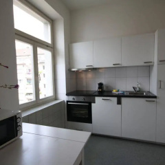 ZH Seefeld - Hitrental Apartment - Bild 18