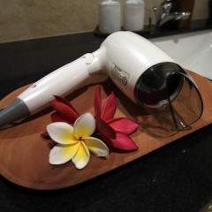 Byasa Ubud - Bild 17
