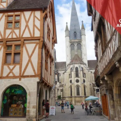 Sweet Home Dijon-Arquebuse thumbnail 1