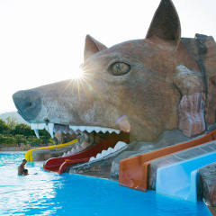 Rox Resort Hotel - Bild 27