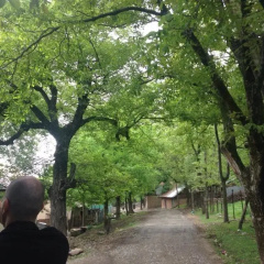Hakeem Homestay thumbnail 10
