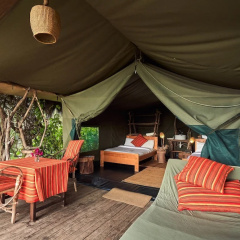 Nature Homes - Africa Amini Life thumbnail 11