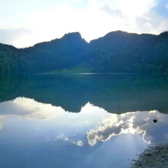 Hotel Restaurant Alatsee - Bild 15