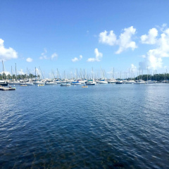 Pelicanstay in Coconut Grove Miami - Bild 14