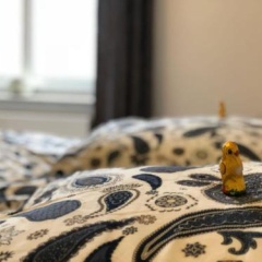 Schöne 3-Zimmer Wohnung im Herzen von Wuppertal - Bild 2