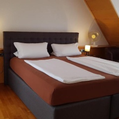 Nibelungen - Ferienwohnungen - Worms - Apartments - Bild 5