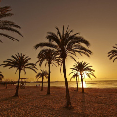 MLL Caribbean Bay Hotel - Bild 22