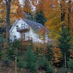 Cristal Villas in Sucevita, Romania from 91$, photos, reviews - zenhotels.com photo 17