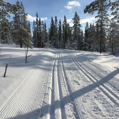 Lysebu Hotel - Bild 16