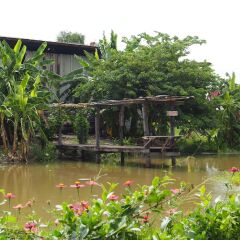 Отель Baan Sikuuk Bed & Breakfast Таиланд, Банг-Красан - отзывы, цены и фото номеров - забронировать отель Baan Sikuuk Bed & Breakfast онлайн фото 20