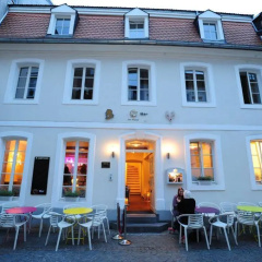 Hotelfuchs - Bild 1
